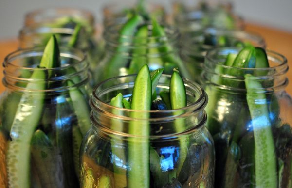 cucumbers in jars ready for pickling