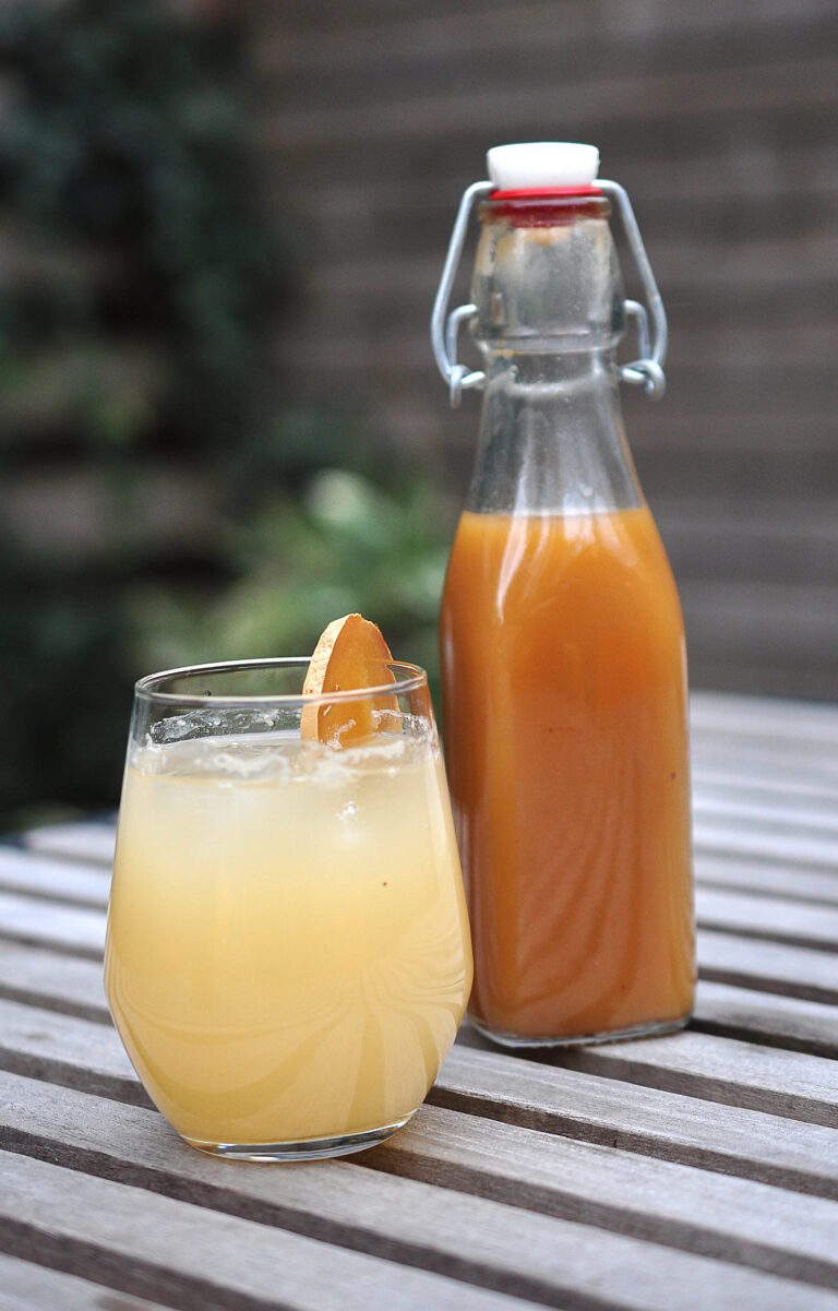 Homemade Ginger Ale Leanne Brown & Embodied Cooking