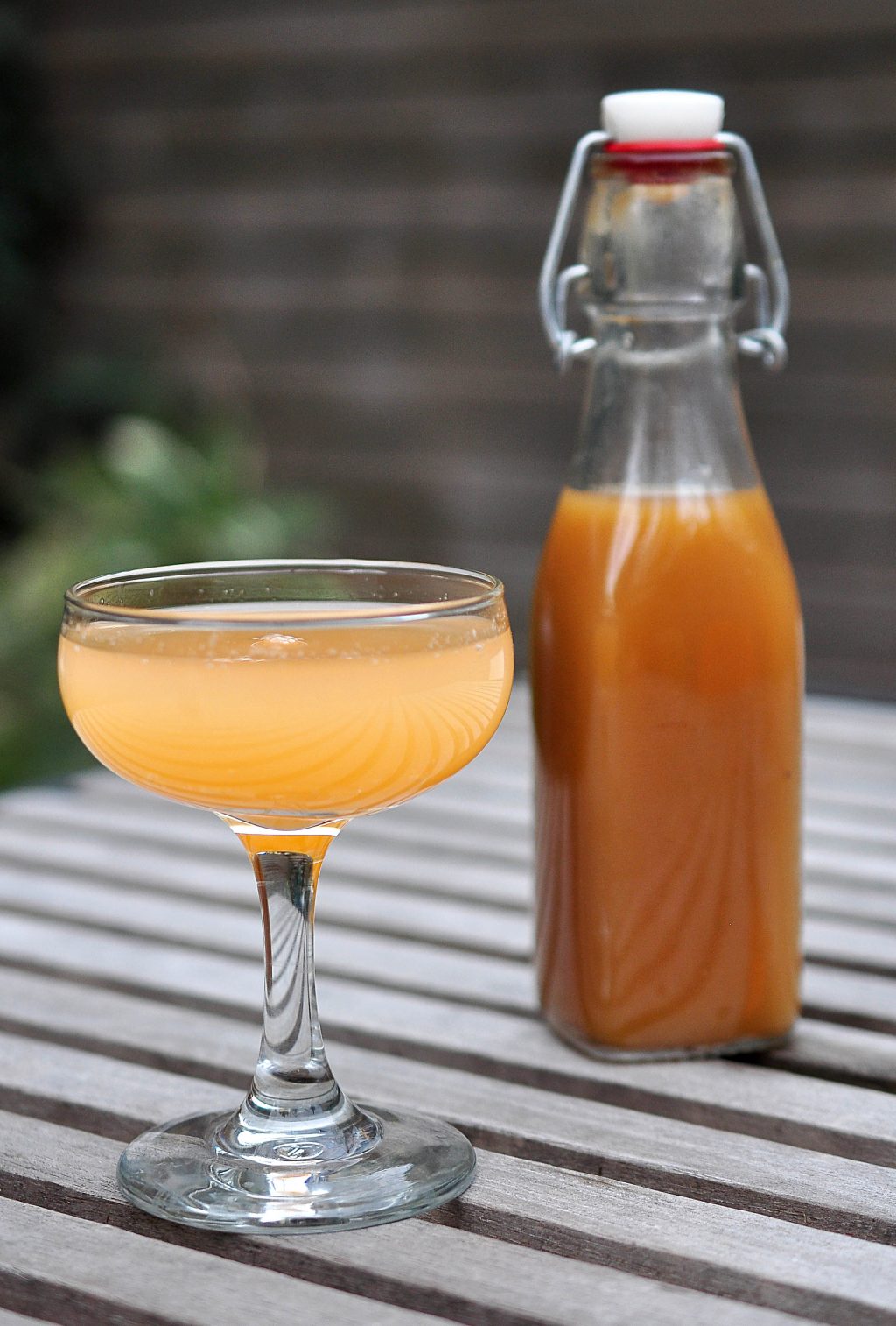 grapefruit-drink-and-syrup