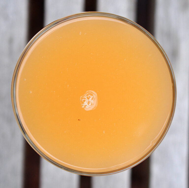 Grapefruit Ginger Drink Leanne Brown & Embodied Cooking